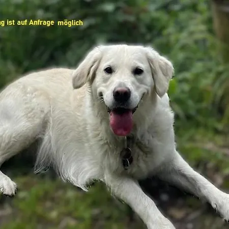 Ferienresidenz * Neu Kaliss