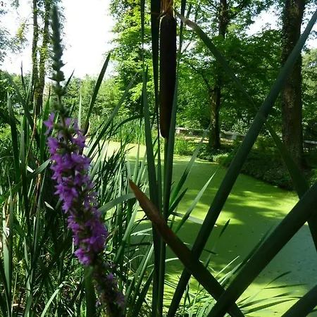Ferienresidenz * Neu Kaliss
