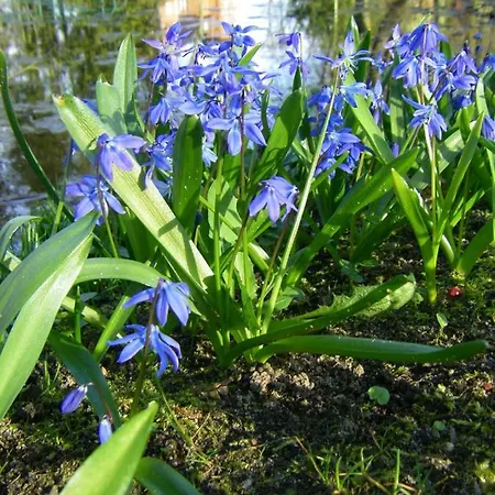 דירה Ferienresidenz Neu Kaliss