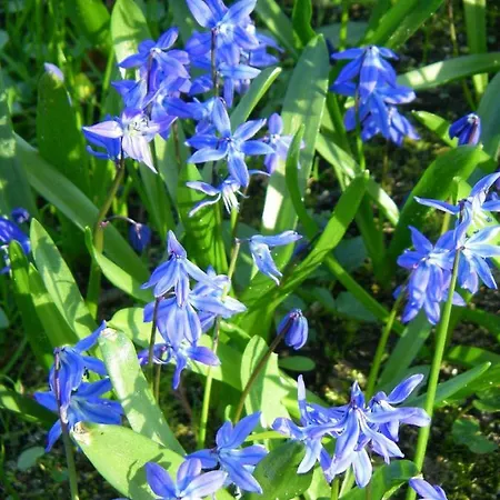 Ferienresidenz דירה Neu Kaliss